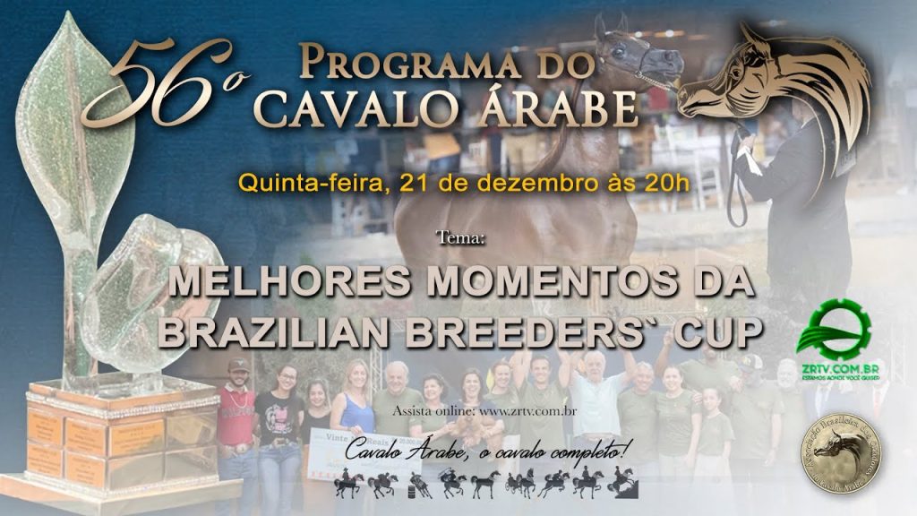 Programa Cavalo Árabe 56 – Melhores Momentos Breeder’s Cup