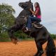 Ana Castela demonstra habilidades com cavalo e é chamada de 'encantadora de cavalos'