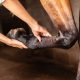 Artrose em equinos: doença crônica das articulações gera grandes limitações aos cavalos