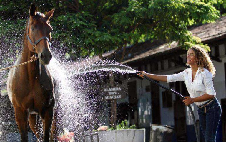 Imagem ilustrativa sobre Cavalo dá coice e derruba veterinária durante gravação: tudo o que sabemos