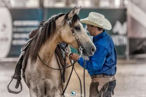 Modalidade de Rédeas ganha força no Rio Grande Sul com grandes campeonatos