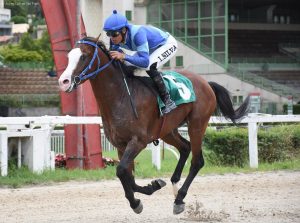 Passionaddo Rach garante a segunda vitória na temporada 2024 de corridas do Cavalo Árabe