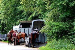 Projeto que cria o passaporte equestre é aprovado pela Comissão de Turismo