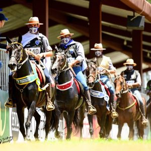 Provas do Mangalarga Marchador são destaques na agenda desta semana