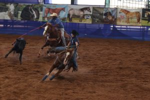 Revolution Team Roping divulga calendário de provas de 2024