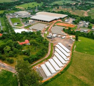 15º Grand Prix Haras Raphaela promete agitar o cenário equestre nacional com premiação milionária