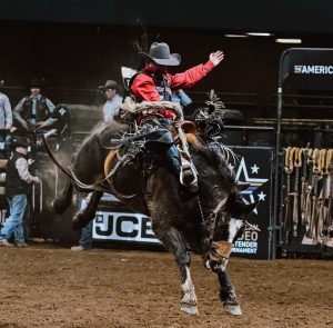 Brasileiros não avançam na competição milionária The American Rodeo