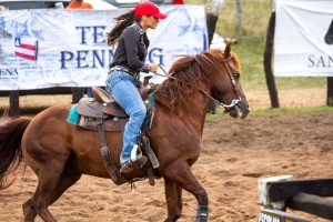 Campeonato Baiano de Team Penning 2024 terá transmissão ao vivo no Youtube em todas as oito etapas