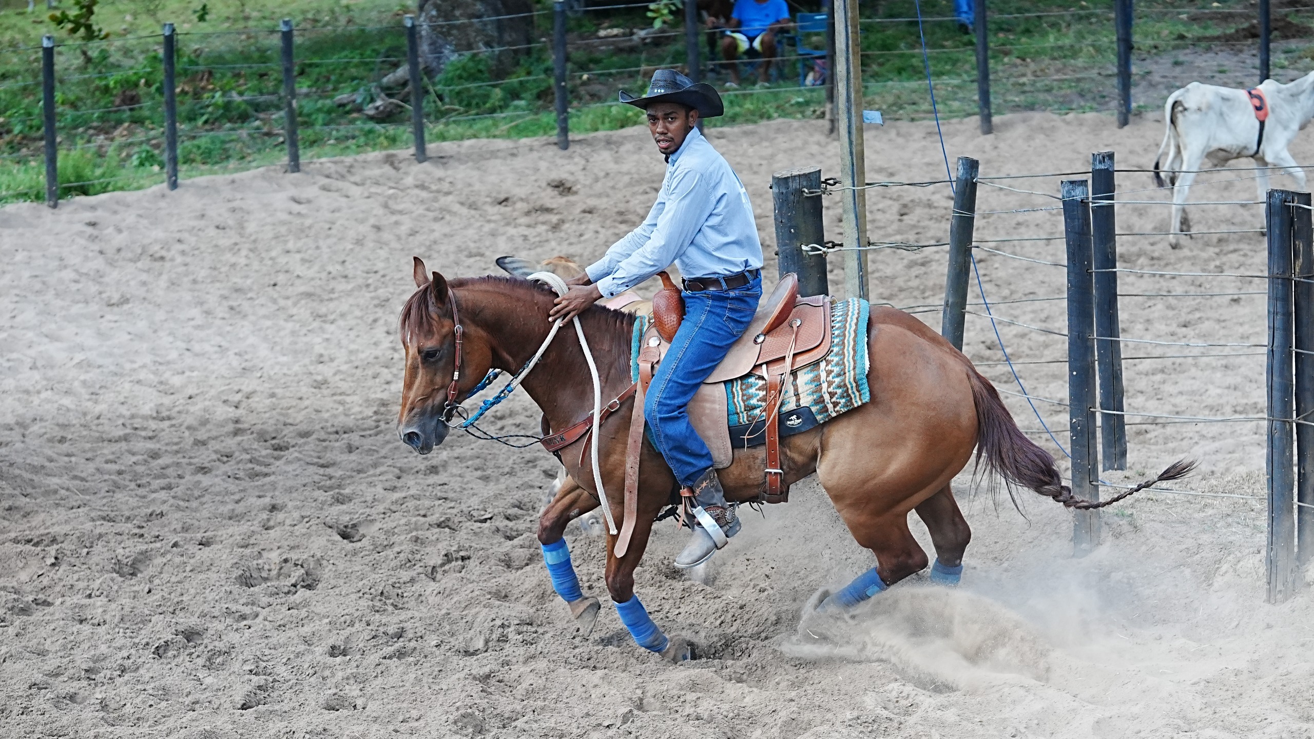 Com convite de Wesley Safadão, I Etapa do Campeonato Alagoano de Ranch Sorting promete agitar a Arena CPMF