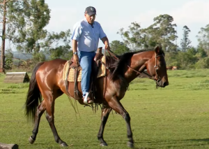 Confira algumas dicas para um galope seguro e produtivo com o seu cavalo