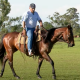 Confira algumas dicas para um galope seguro e produtivo com o seu cavalo