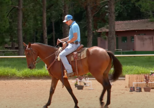 Controlar a ansiedade do cavalo é essencial para um bom desempenho em pista