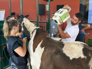 Curso sobre coluna vertebral reúne cerca de 90 veterinários do Brasil e do mundo