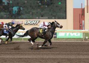 Danjer é celebrado Campeão Mundial de Corrida AQHA 2023