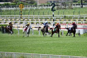 Estreante conquista vitória emocionante em corrida exclusiva do Cavalo Árabe