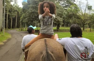 Parceria da USP em Piracicaba capacita profissionais no uso de cavalos em terapias