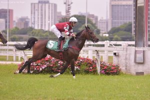 RG El Bak vence o Prêmio Versaddo Rach no Jockey Club de São Paulo