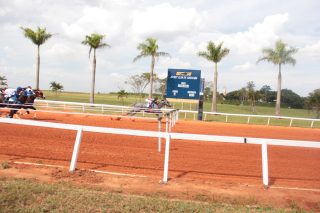 Simba Fantastic STM vence GP WA Futurity no retorna dos páreos do Jockey Club de Sorocaba