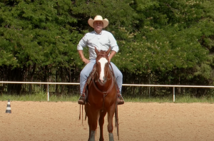 TV UC fala sobre o trabalho de galope como forma de acomodar a energia do cavalo