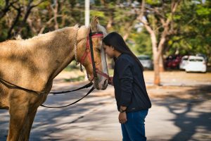 A força da mulher brasileira no meio equestre