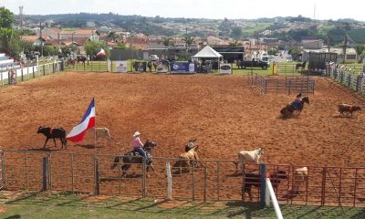 APAE de Itapira irá promover a 6ª edição da Festa do Cavalo