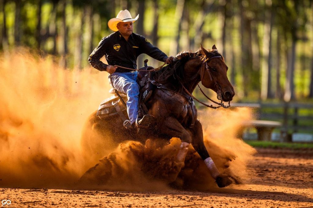 André Sampaio: Uma vida dedicada ao mundo dos cavalos