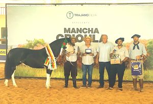 Égua de Rolante garante o tricampeonato no Mancha Crioula 2024