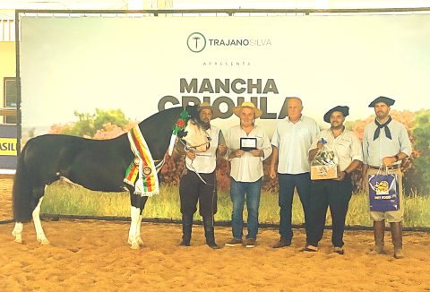 Égua de Rolante garante o tricampeonato no Mancha Crioula 2024