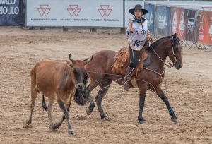 Final Nacional do Crioulaço movimenta arena do Cavalo Crioulo em Esteio