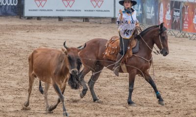 Final Nacional do Crioulaço movimenta arena do Cavalo Crioulo em Esteio