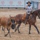 Final Nacional do Crioulaço movimenta arena do Cavalo Crioulo em Esteio