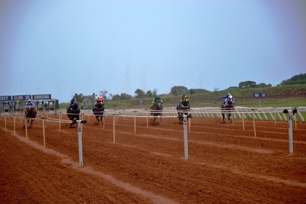 Make Me é a grande campeã da final do GP Torneio Início no Jockey Club de Sorocaba