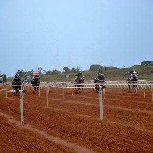 Make Me é a grande campeã da final do GP Torneio Início no Jockey Club de Sorocaba