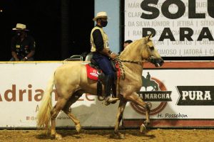 Provas do Mangalarga Marchador são destaques na primeira semana de março