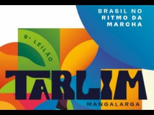 9° Leilão Haras Tarlim | 7/03 às 20h00