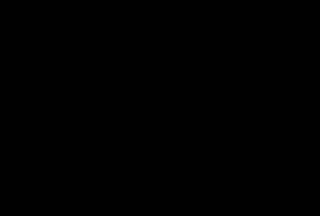 Selaria Arthorse