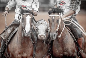 Bocal de Ouro ocorre pela primeira vez na Arena Coberta do Cavalo Crioulo