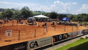 Centro Hípico Boa Vista: o epicentro do Ranch Sorting e Team Penning