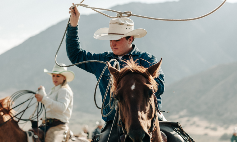 Cerca de mil cavalos deverão participar de disputas equestres durante a ExpoLondrina