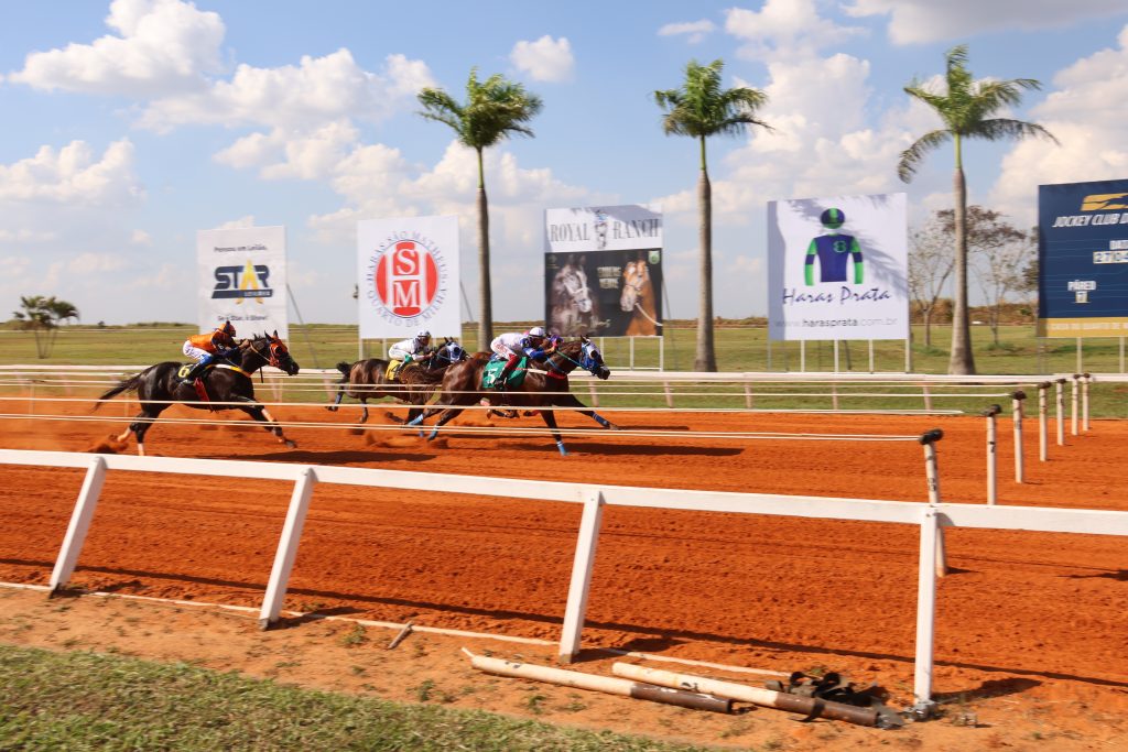 Classificatórias do GP America Futurity movimenta pista do Jockey Club de Sorocaba