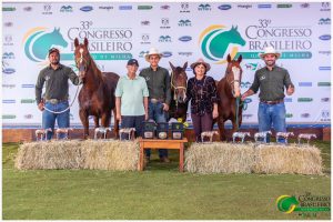 Gabriel Graciani faz história mais uma vez no Ranch Sorting