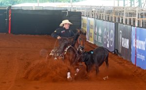 Genética do Rancho Promissão brilha no 33º Congresso Brasileiro da Raça Quarto de Milha