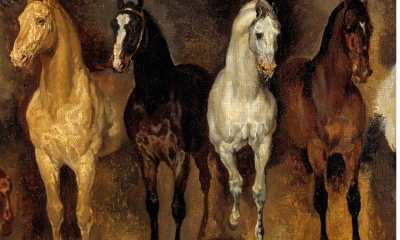 O cavalo e a humanidade como os equinos ajudaram na construção da história