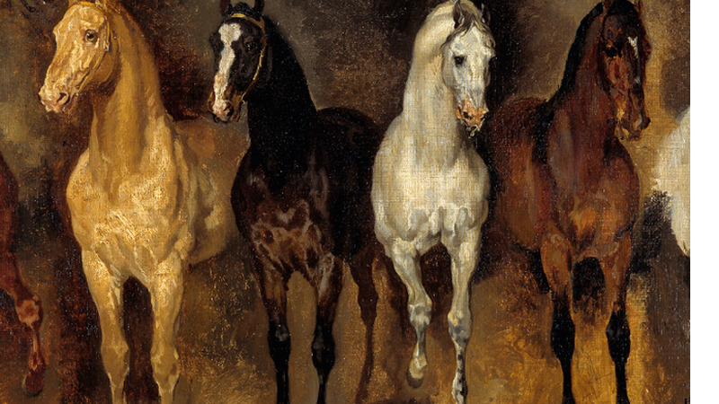 O cavalo e a humanidade: como os equinos ajudaram na construção da história
