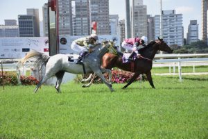 Prêmio Maria Helena Vidal abre calendário internacional de corridas do cavalo Árabe em 2024