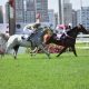 Prêmio Maria Helena Vidal abre calendário internacional de corridas do cavalo Árabe em 2024