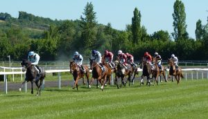 Primeira classe: descubra como cavalos viajam para eventos equestres internacionais