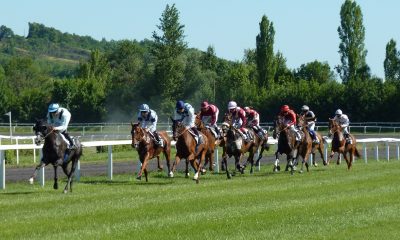 Primeira classe descubra como cavalos viajam para eventos equestres internacionais