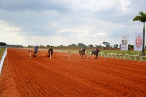 Provas equestres: GP América Futurity é destaque na agenda dessa semana