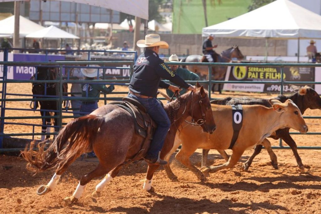 Semana do Cavalo: feira de negócios equestre movimenta economia e atrai expositores em Cuiabá